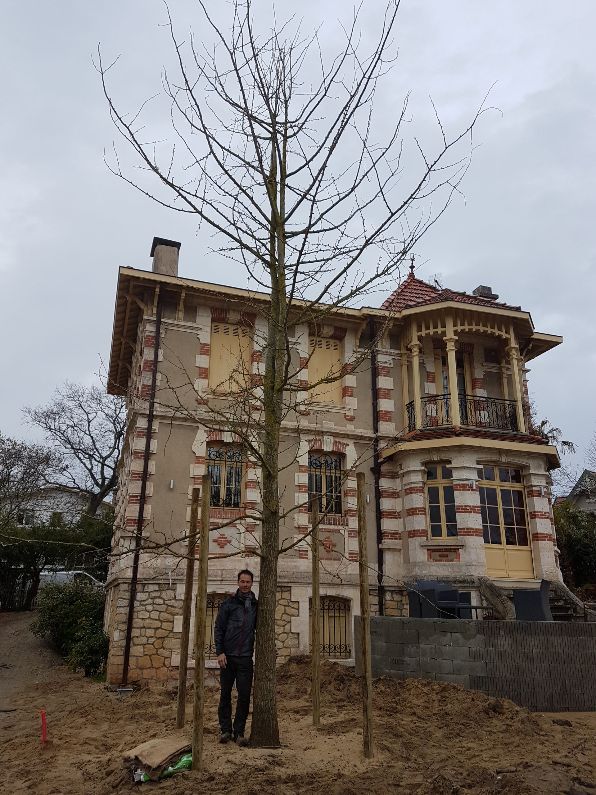 L'arbre est planté