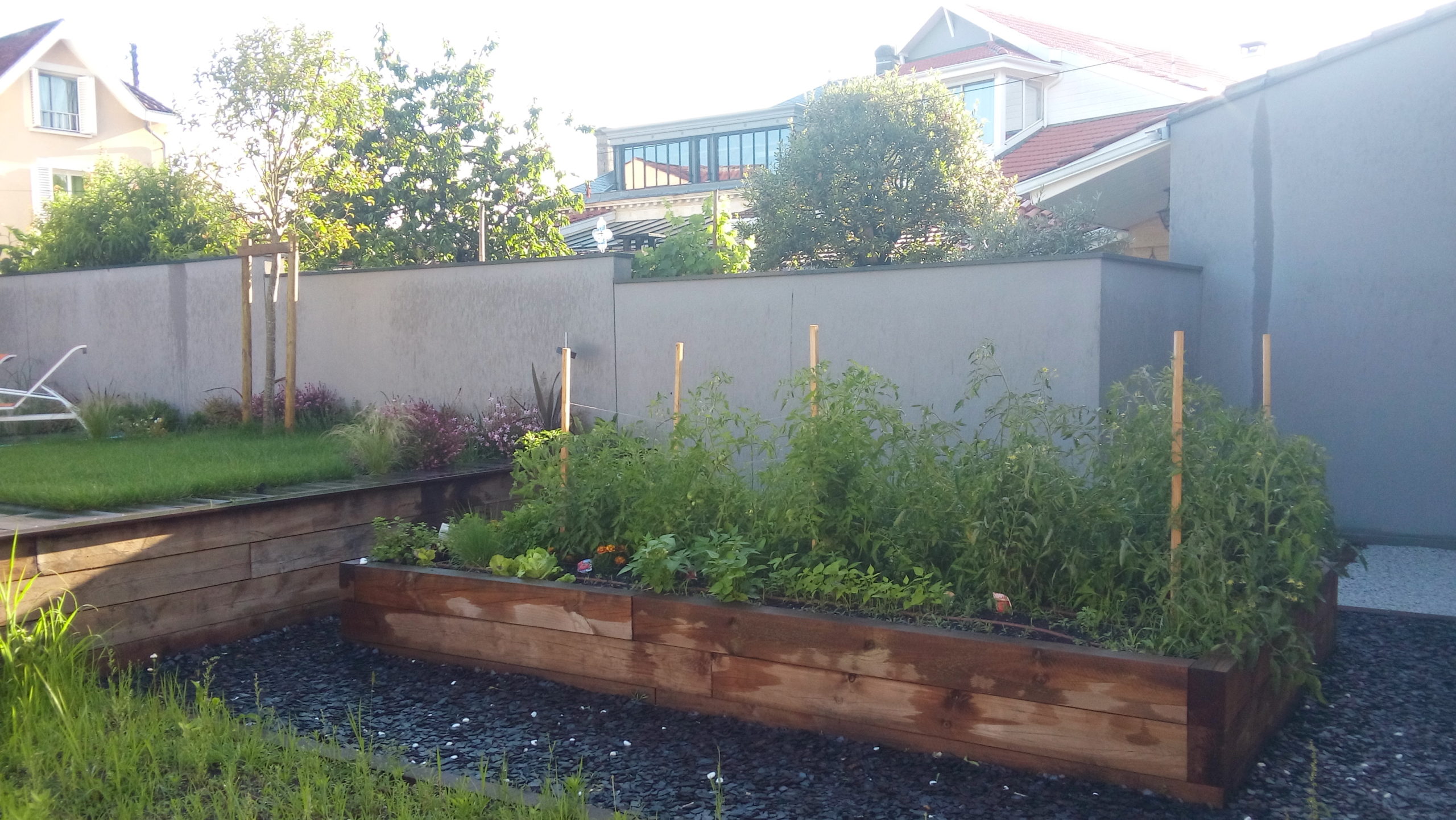 Carré potager foisonnant