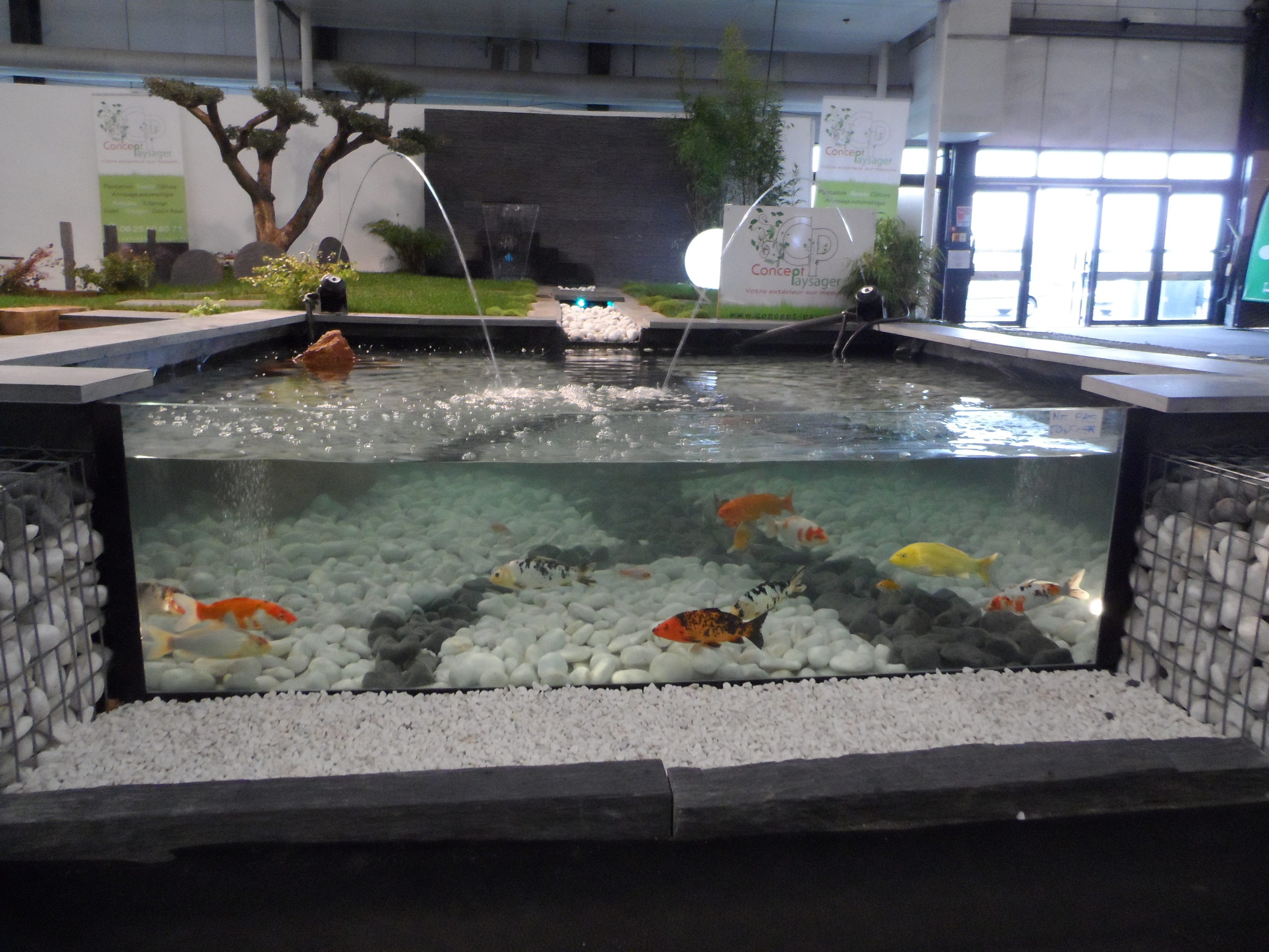 Bassin pour Vivons Maison 2013