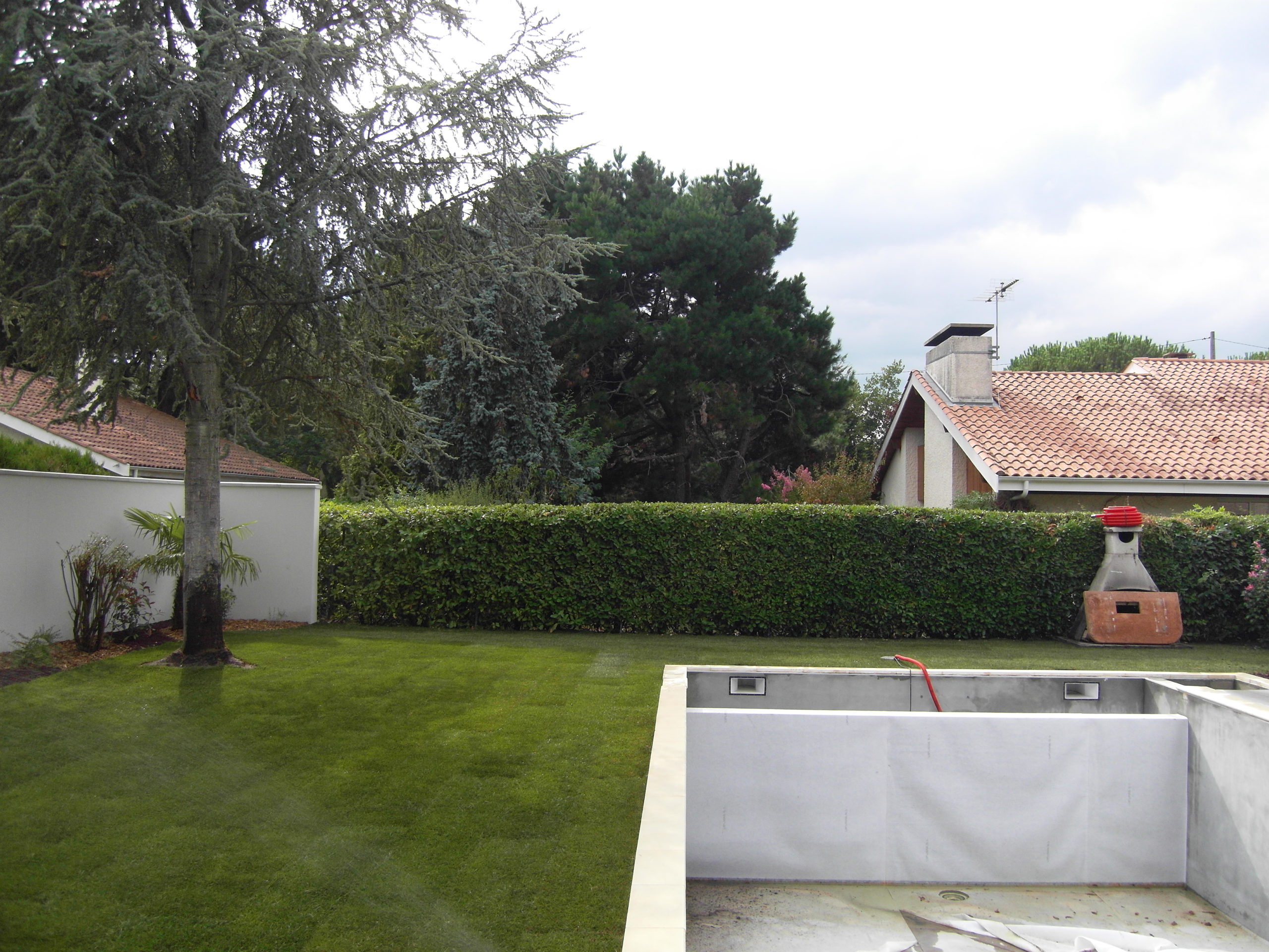 Gazon de placage en tour de piscine