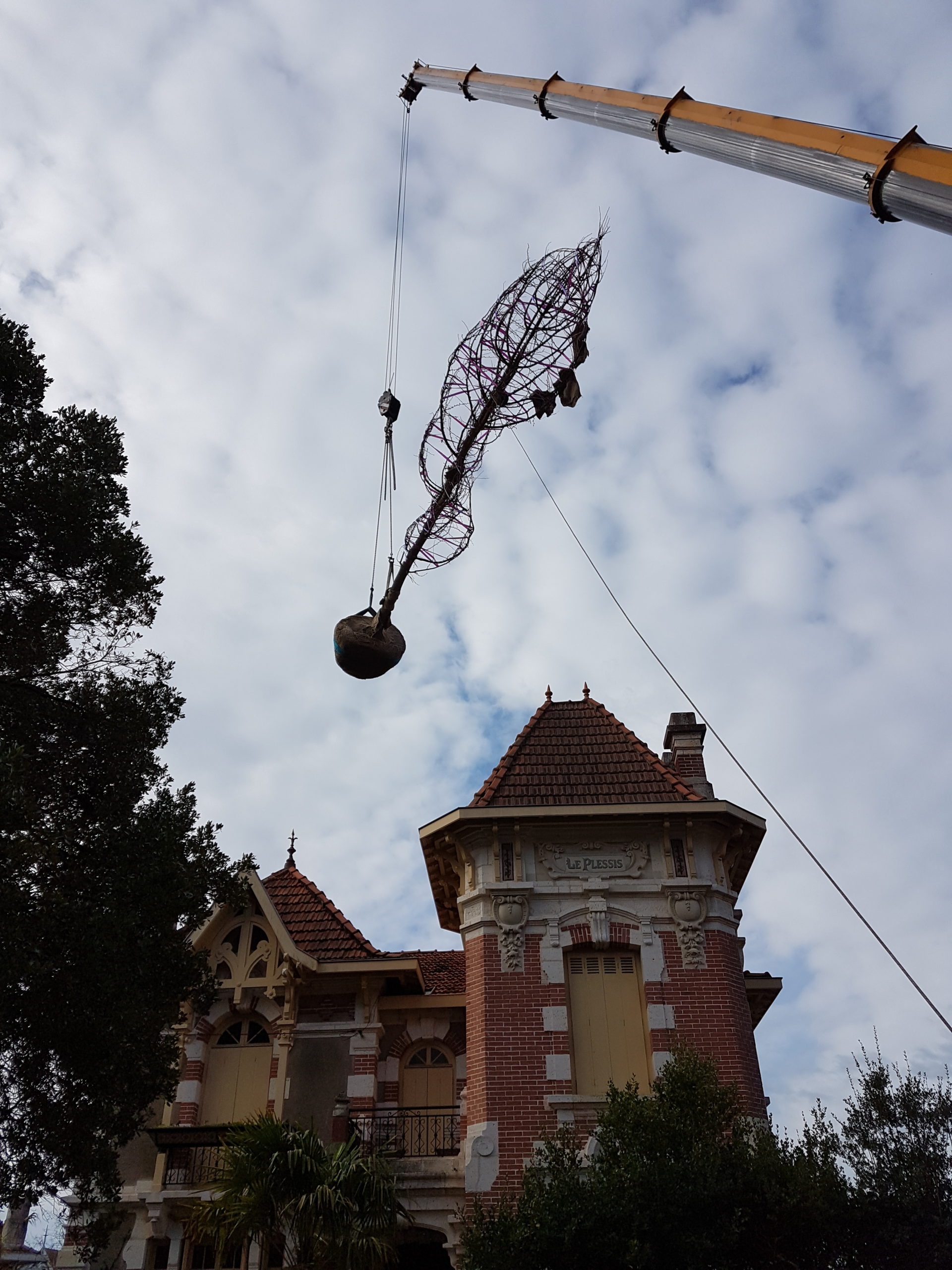 Une grue pour déplacer les arbres