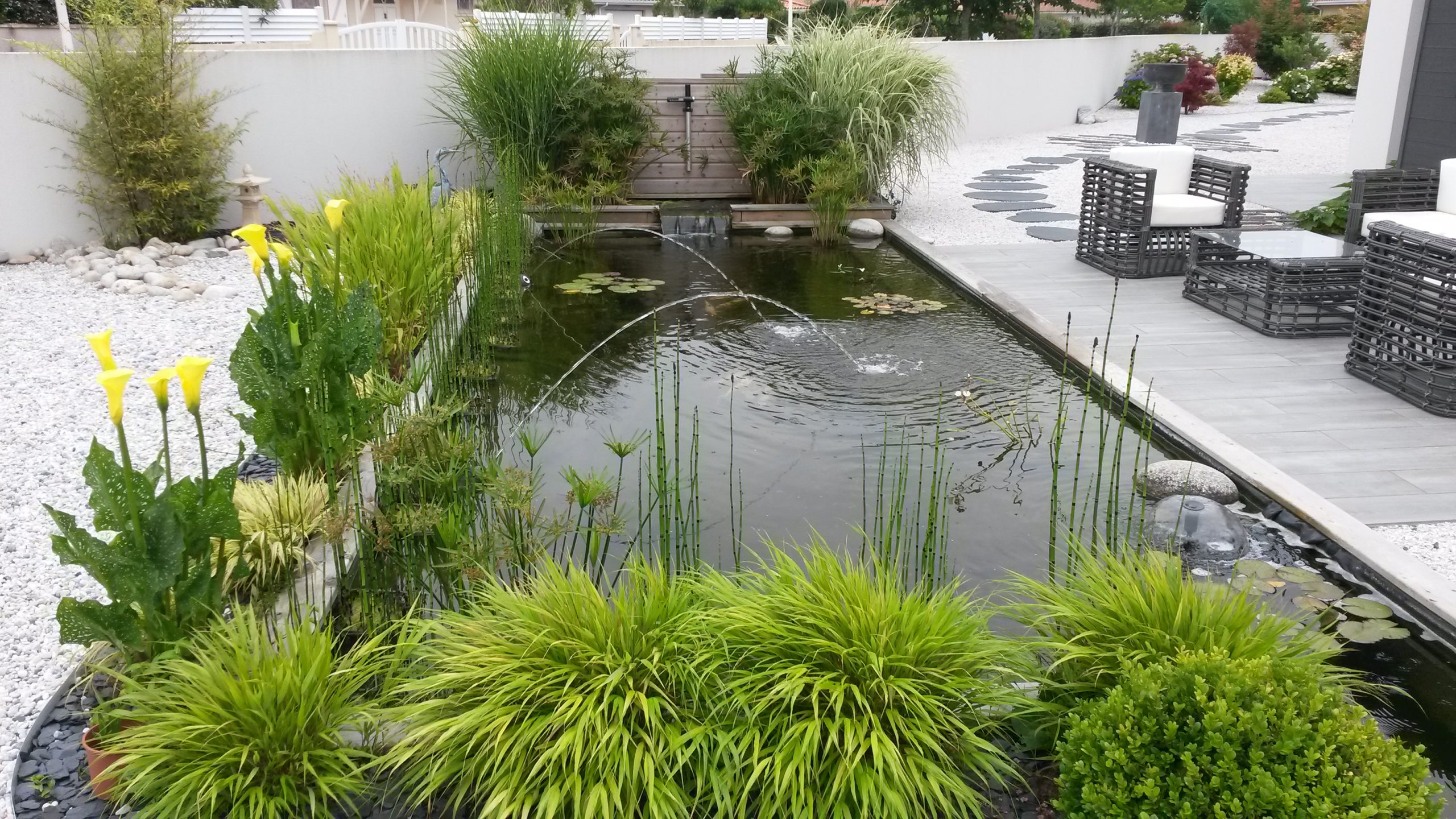 Le bassin, une année après...