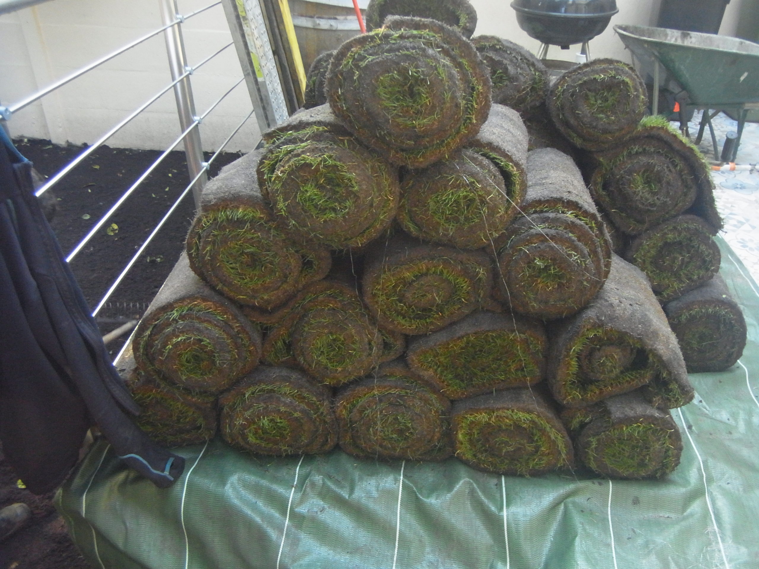Gazon de placage en rouleaux