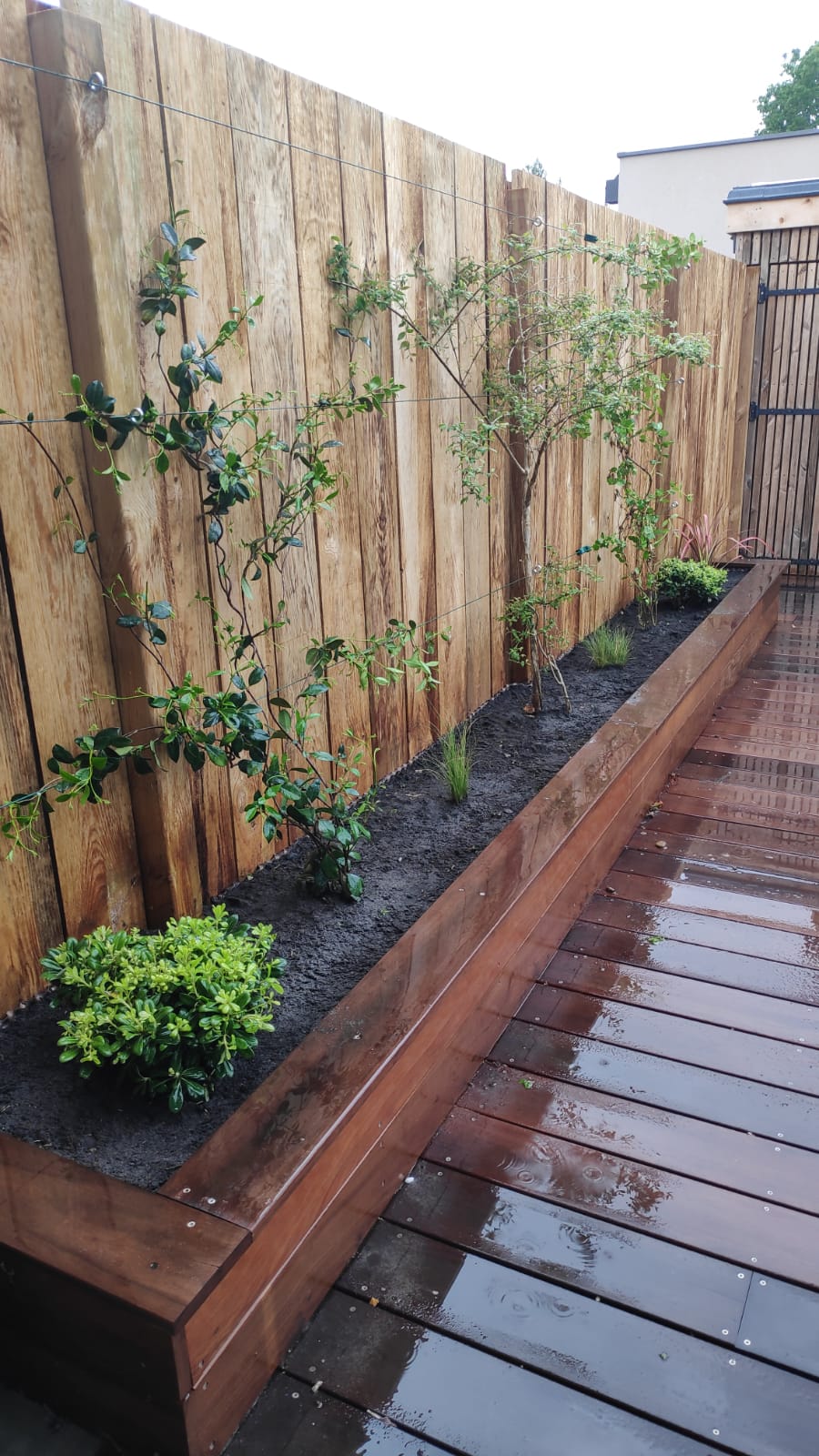 Clôture sur mesure avec sa jardinière en bois, plantation de jasmins