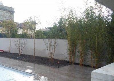 Tous les grands sujets sont plantés, un peu de patience et ...