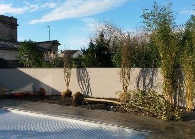Pendant la plantation