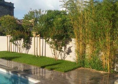 Les lagerstroemias, bambous et troènes viennent d'être plantés