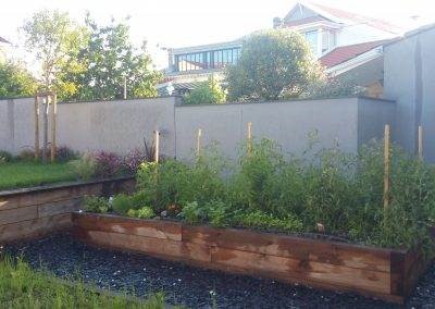 Les légumes ont pris place dans la jardinière potager