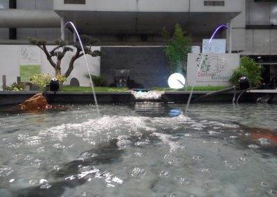 Jets d'eau décoratifs dans le bassin
