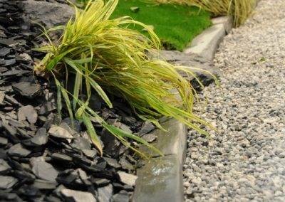 Carex en inclusion de vert et noir