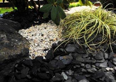 Carex sublimé par l'ardoise