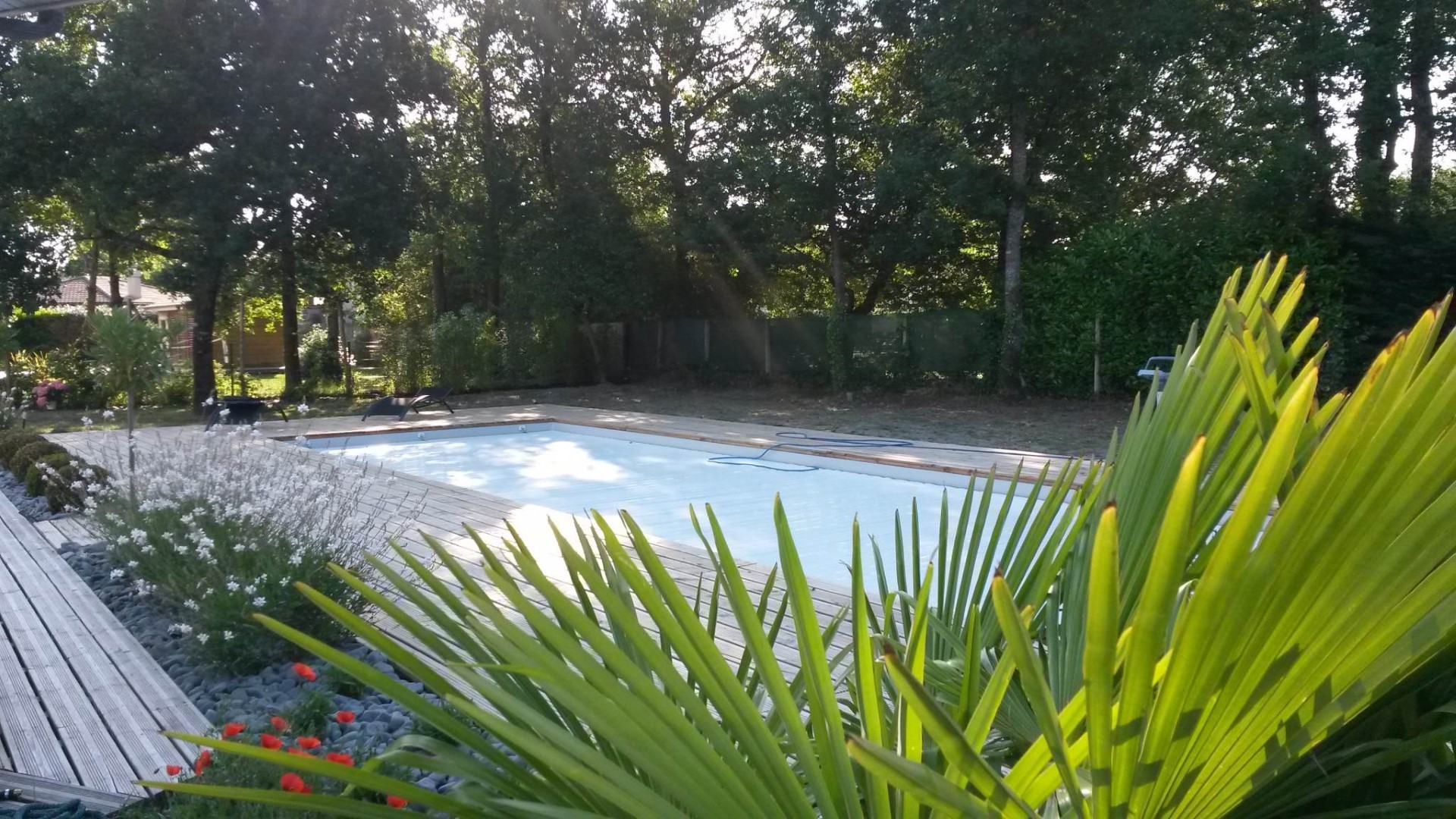 Terrasse en pin douglas et ses massifs paysagers Terrasse en pin douglas et ses massifs paysagers