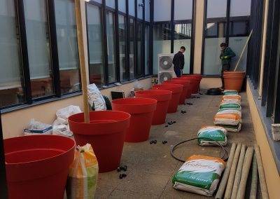Installation des pots et des tuteurs