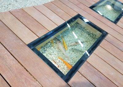 Jolie vue sur les carpes