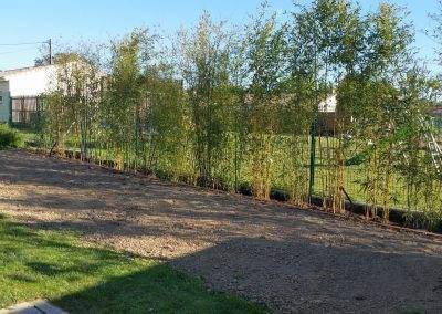 Ensemencement des terres avec du gazon
