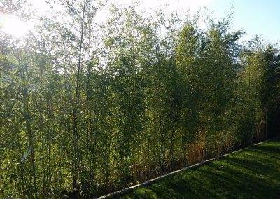 Création jardin paysagiste en  Entre-deux mers