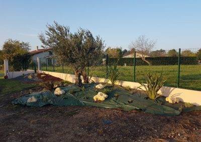 Plantations et disposition des rocailles