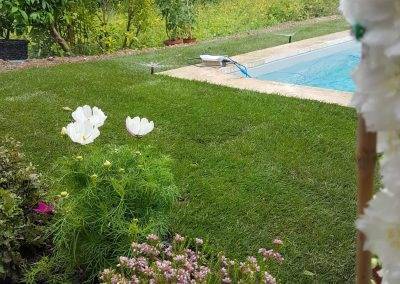Les fleurs commencent à agrémenter le jardin