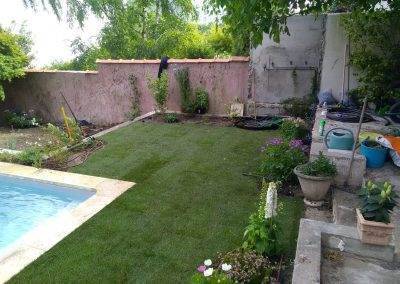Pose du gazon de placage et plantation des végétaux