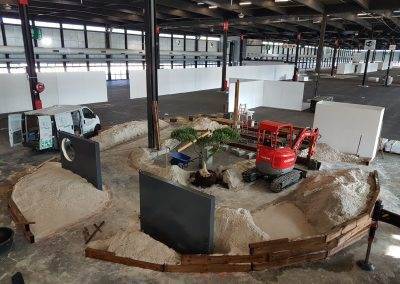 Les murs de bois et le 1er olivier sont placés!
