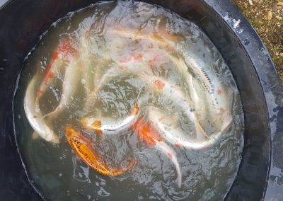 A la pêche!