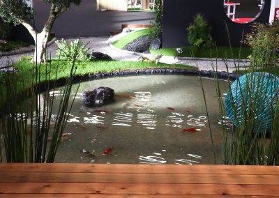 Le bassin bordé de ses prêles du Japon...