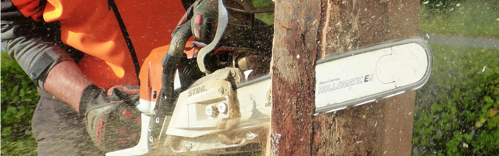 Le tronçonnage d'un arbre