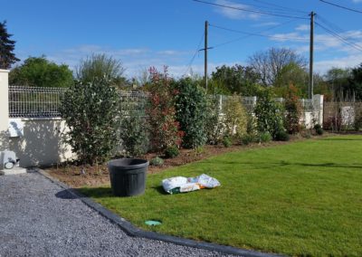 Haie paysagère tout juste plantée