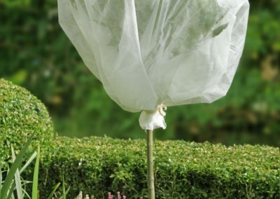 Voile d'hivernage