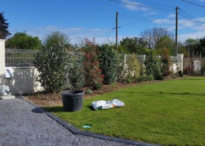 Plantation d'une haie arbustive