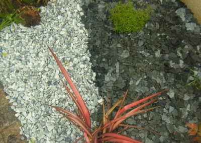 Paillettes d'ardoise et graviers bleu lagon font ressortir ce joli phormium