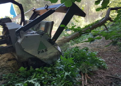 Merci le tracteur forestier