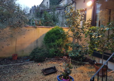 De l'autre côté, quelques arbustes à arracher aussi...