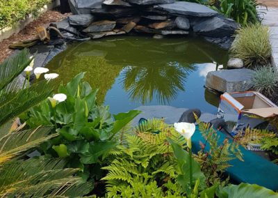 Le bassin verdâtre de notre cliente Le bassin verdâtre de notre cliente