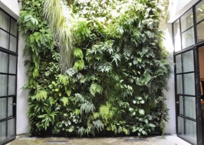 Mur végétalisé en intérieur