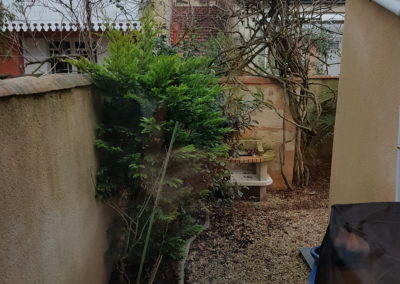 Avant l'arrachage des végétaux