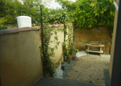 Plantation des jasmins sur une installation en fils de tension