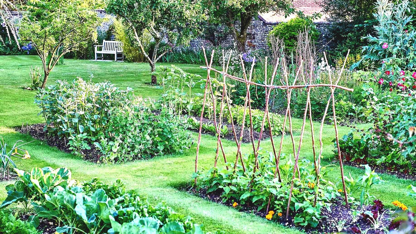 Potager bio