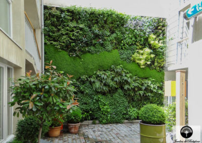 Mur végétalisé