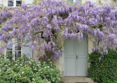 Glycine