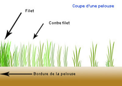 Filet et contre-filet