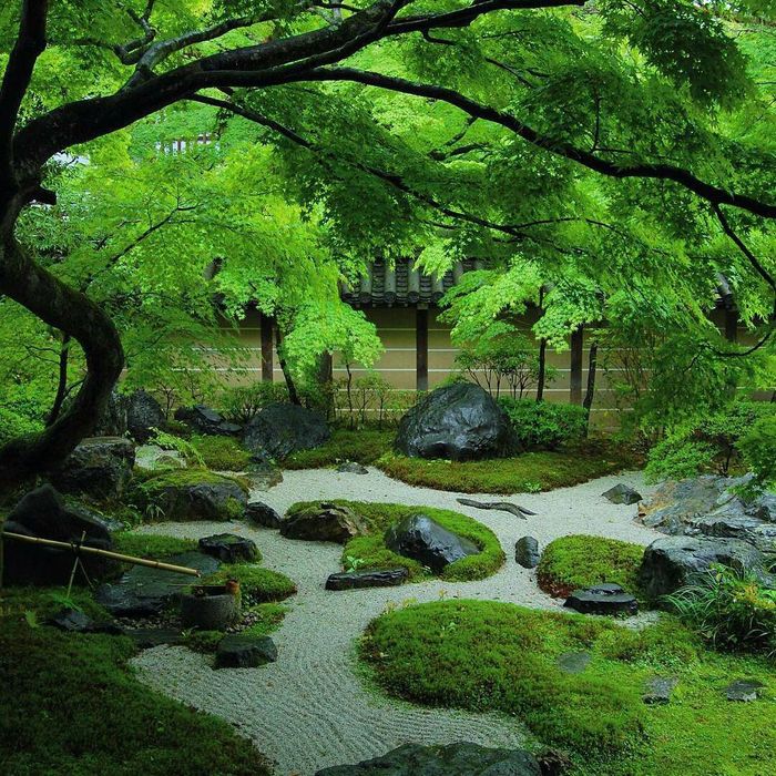Jardin Japonais de sable et de mousses