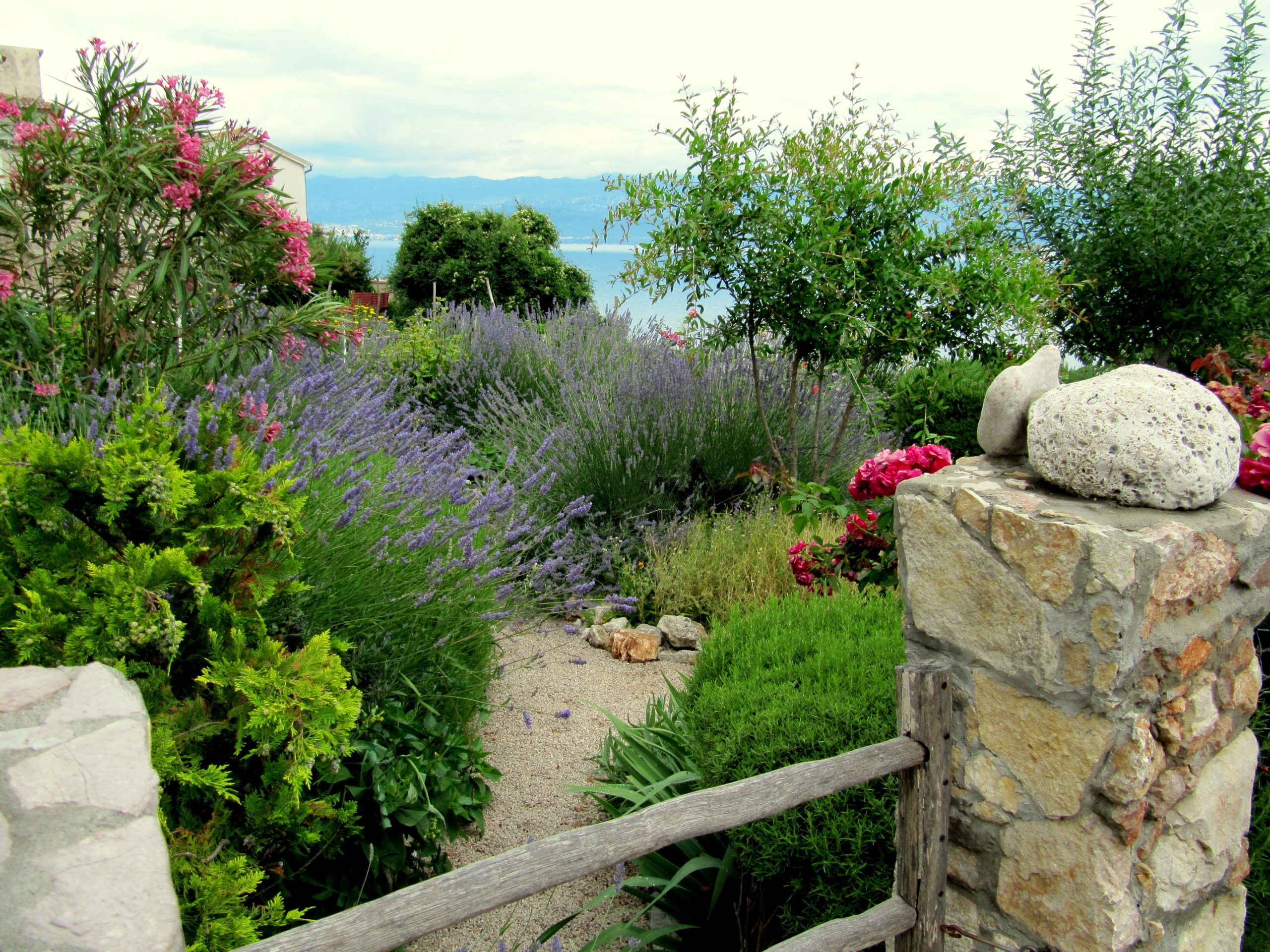 Un jardin méditerranéen