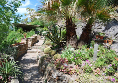Jardin méditerranéen avec palmiers