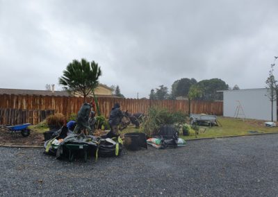 Plantation des végétaux.