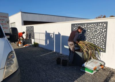 Plantation des phormiums dans les jardinières
