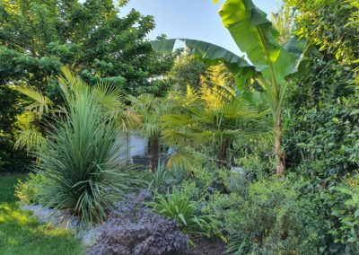 Une petite "jungle" luxuriante...
