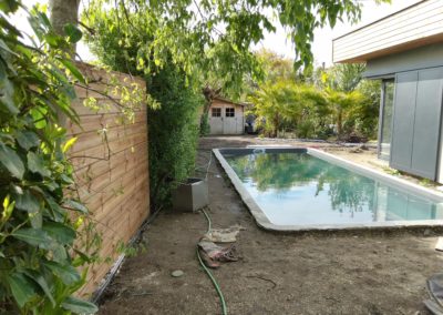 Création de la petite "jungle"