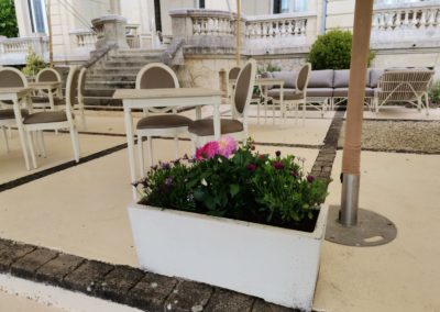Quelques dahlias et osteospermums.
