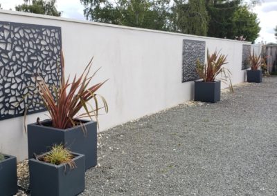 Les phormiums quelques mois plus tard...